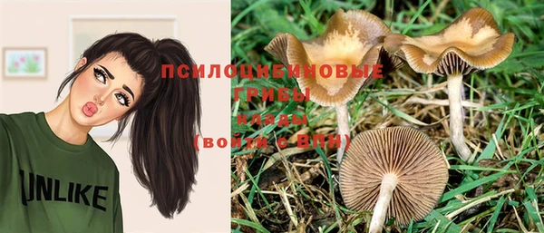 Альфа ПВП Семилуки