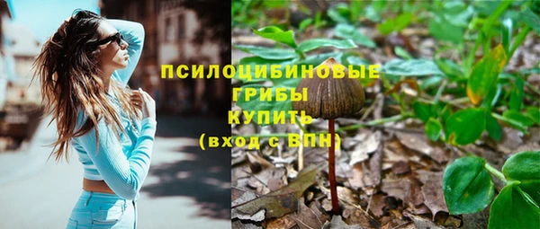 спайс Лабытнанги