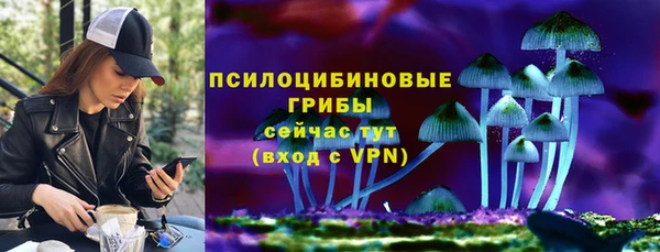 apvp Лихославль