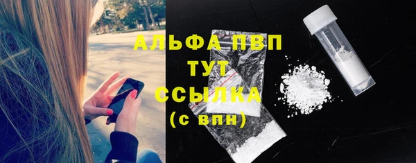 винт Лагань