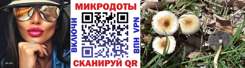 Псилоцибиновые грибы Magic Shrooms  Лесозаводск 