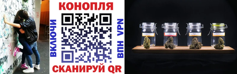 купить   Лесозаводск  Канабис Amnesia 